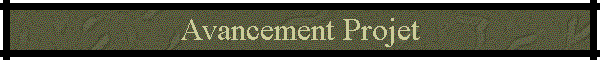 Avancement Projet