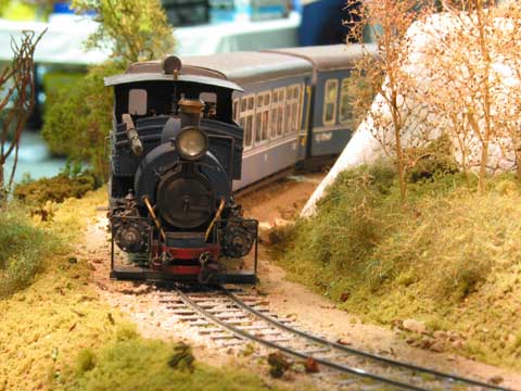 Darjeeling Himalayan Railway